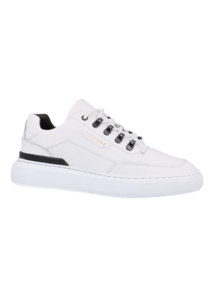 Cycleur de luxe Cdlm232015 limit