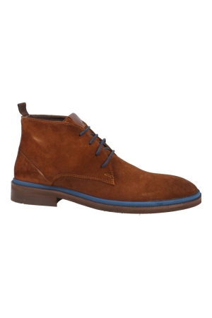 Berkelmans 232184724 monticello bruin Berkelmans 232184724 monticello bruin