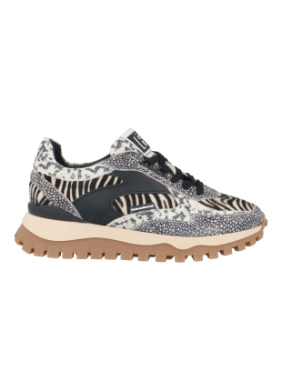 Floris van Bommel Sfw-10143-19-01 grommi