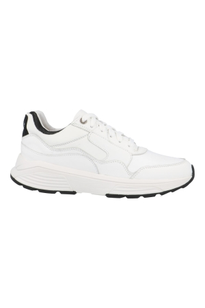 Xsensible 33000.3 gx golden gate wit Xsensible 33000.3 gx golden gate wit