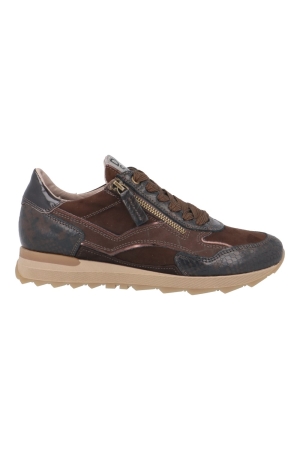 DL-Sport  7140oc bruin