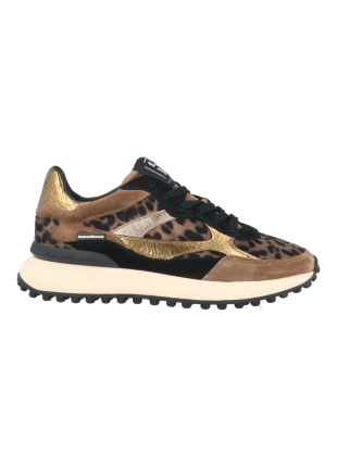 Floris van Bommel Sfw-10085-34-01 noppi 41.02