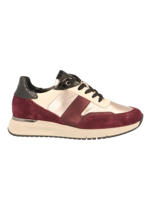 Gabor 6022.01.004