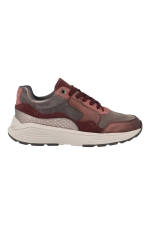 Xsensible 33000.2 gx golden gate bordeaux