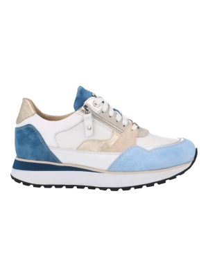 Footnotes 31.007 elke