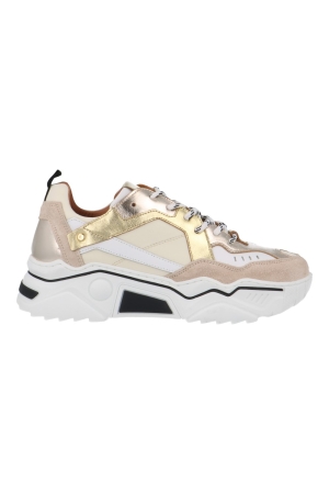 DWRS Pluto champagne