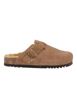 Scholl Fae new f